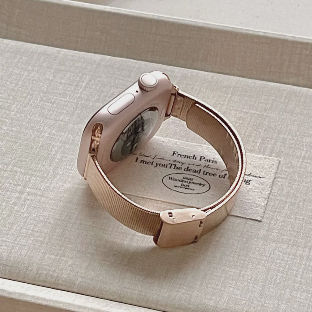 Polished Stainless Steel Band